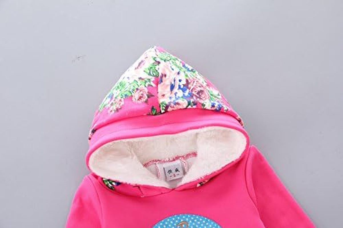 Spring Autumn Winter Little Baby Girls Clothing Set Warm Velvet Hoodie and Pants