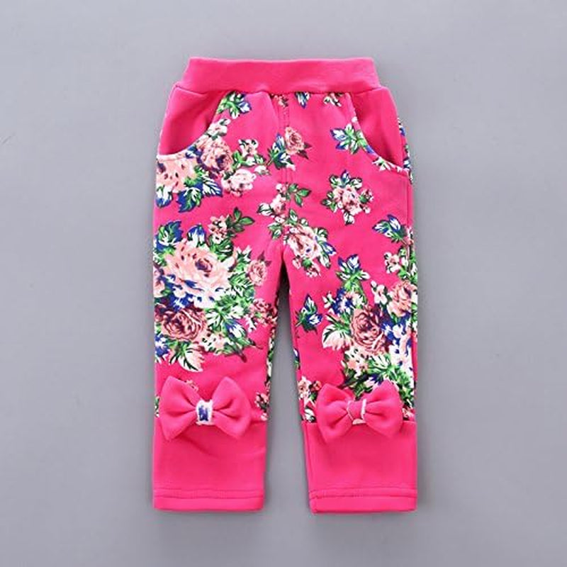 Spring Autumn Winter Little Baby Girls Clothing Set Warm Velvet Hoodie and Pants